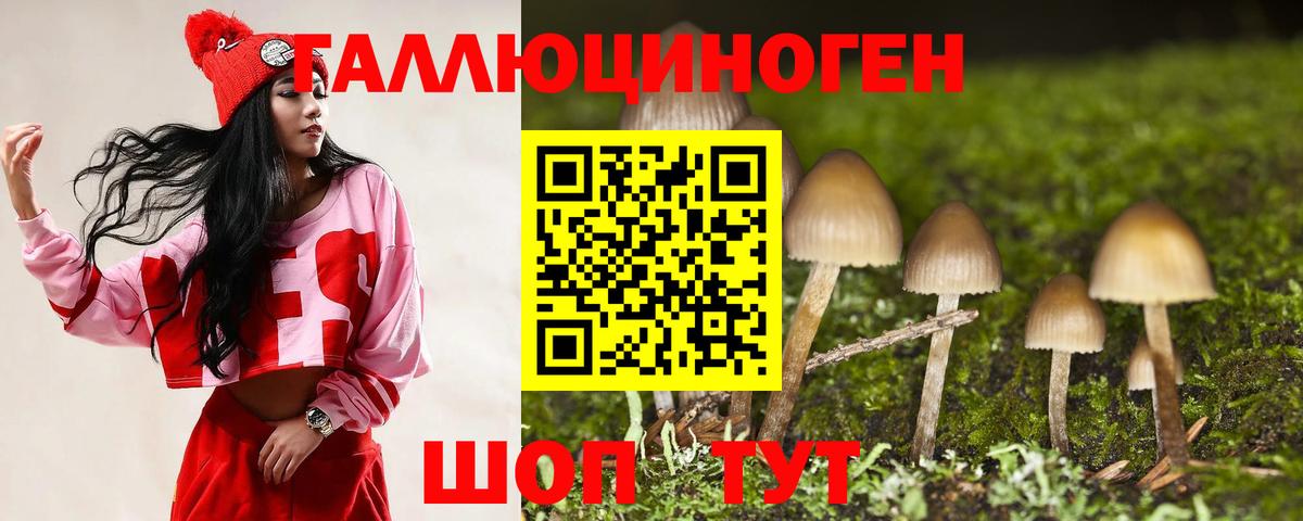 Псилоцибиновые грибы Magic Shrooms Вязники